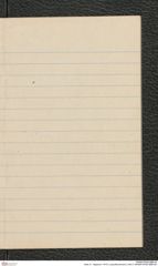 Seite 21, Tagebuch "1919 | Lang-Mannersdorf | Heft 2" (NHMW-PRAE-BBB-08)